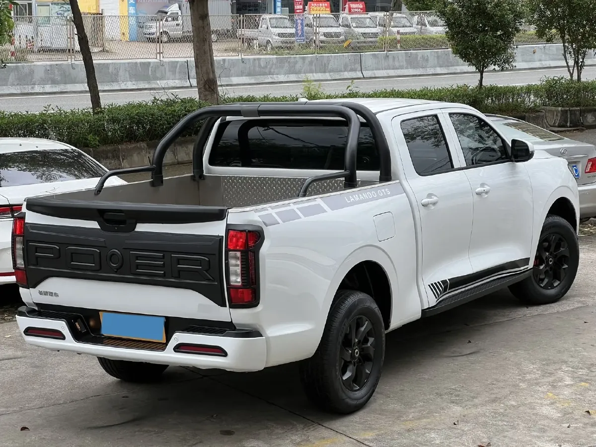 2021 Great Wall Poer 2.0T 163HP L4 8AT,autocango,china used car exporter,china ev exporter,chinese used car exporter,chinese used ev exporter