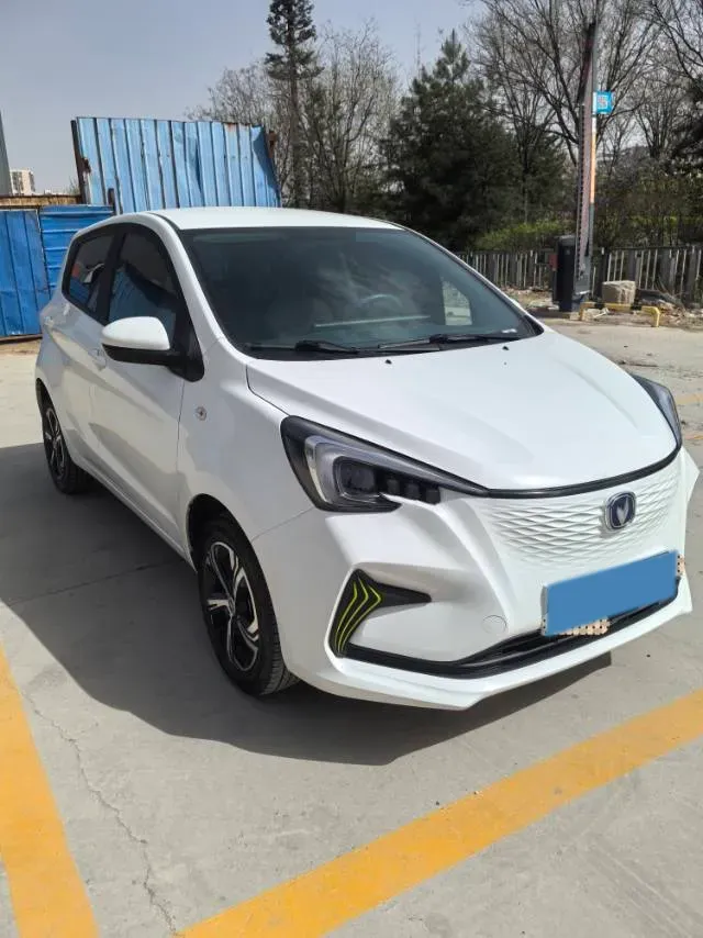 2022 ChangAn BenBen E-Star BEV 31.95KWH,autocango,china used car exporter,china ev exporter,chinese used car exporter,chinese used ev exporter