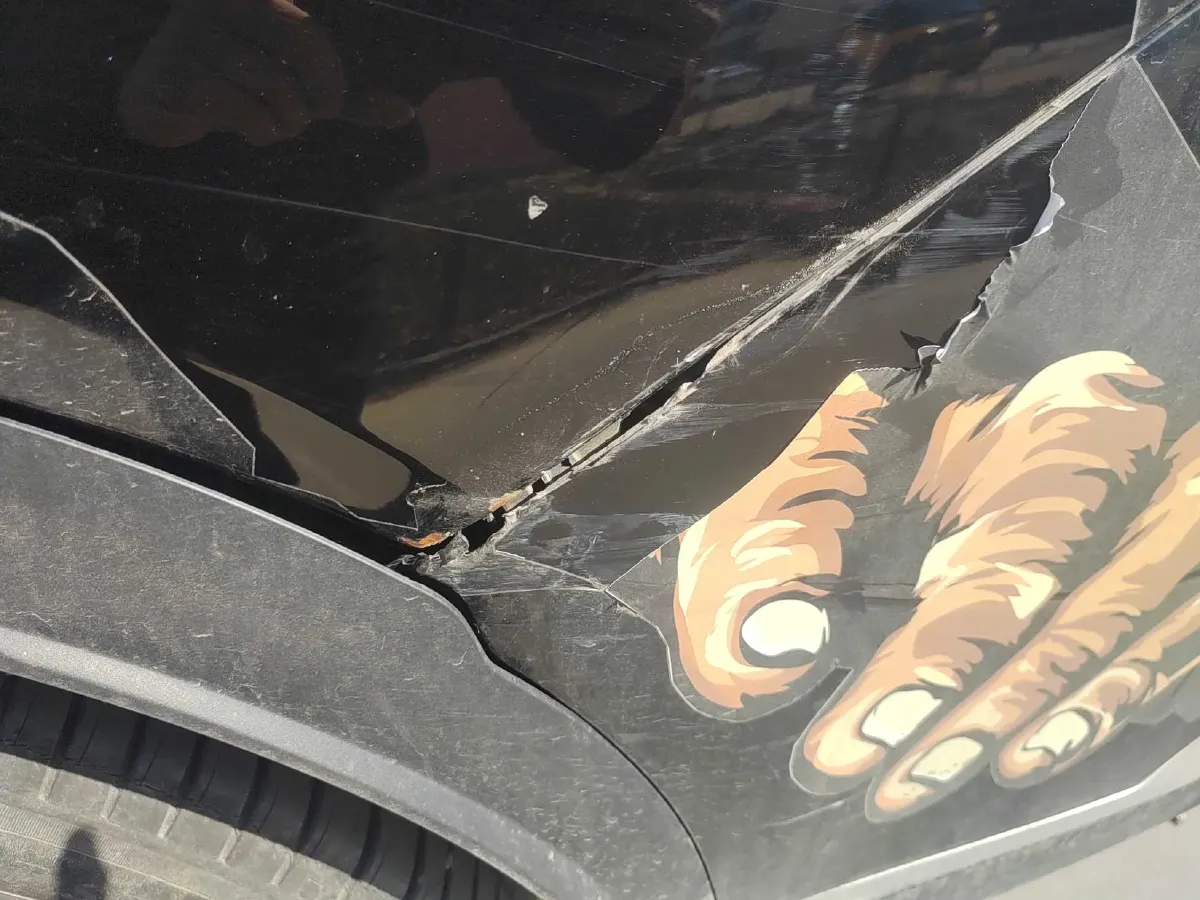 2022 GAC Trumpchi GS8 2.0T 252HP L4 8AT,autocango,china used car exporter,china ev exporter,chinese used car exporter,chinese used ev exporter