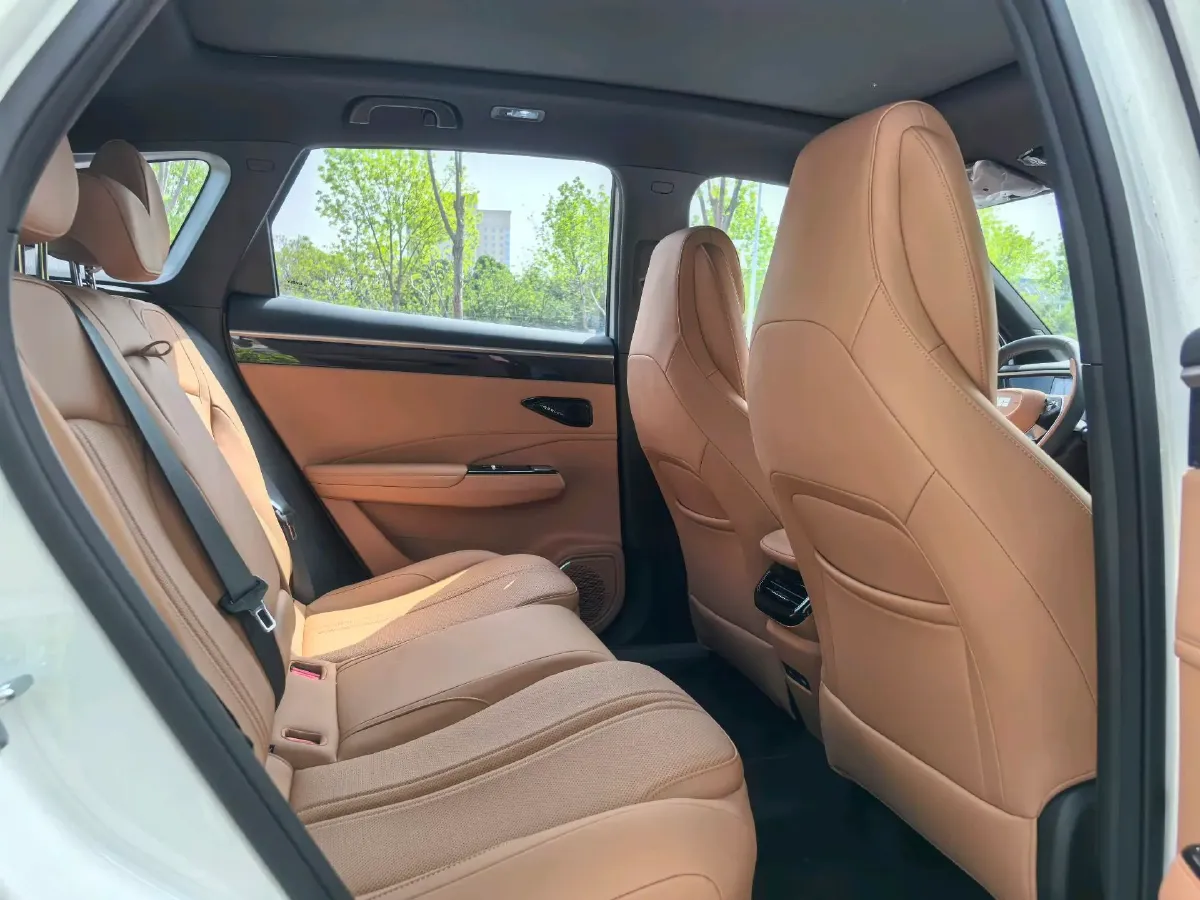 2025 BYD Sea Lion 05 DM-i 1.5L 101HP L4 E-CVT PHEV 18.3KWH,autocango,china used car exporter,china ev exporter,chinese used car exporter,chinese used ev exporter