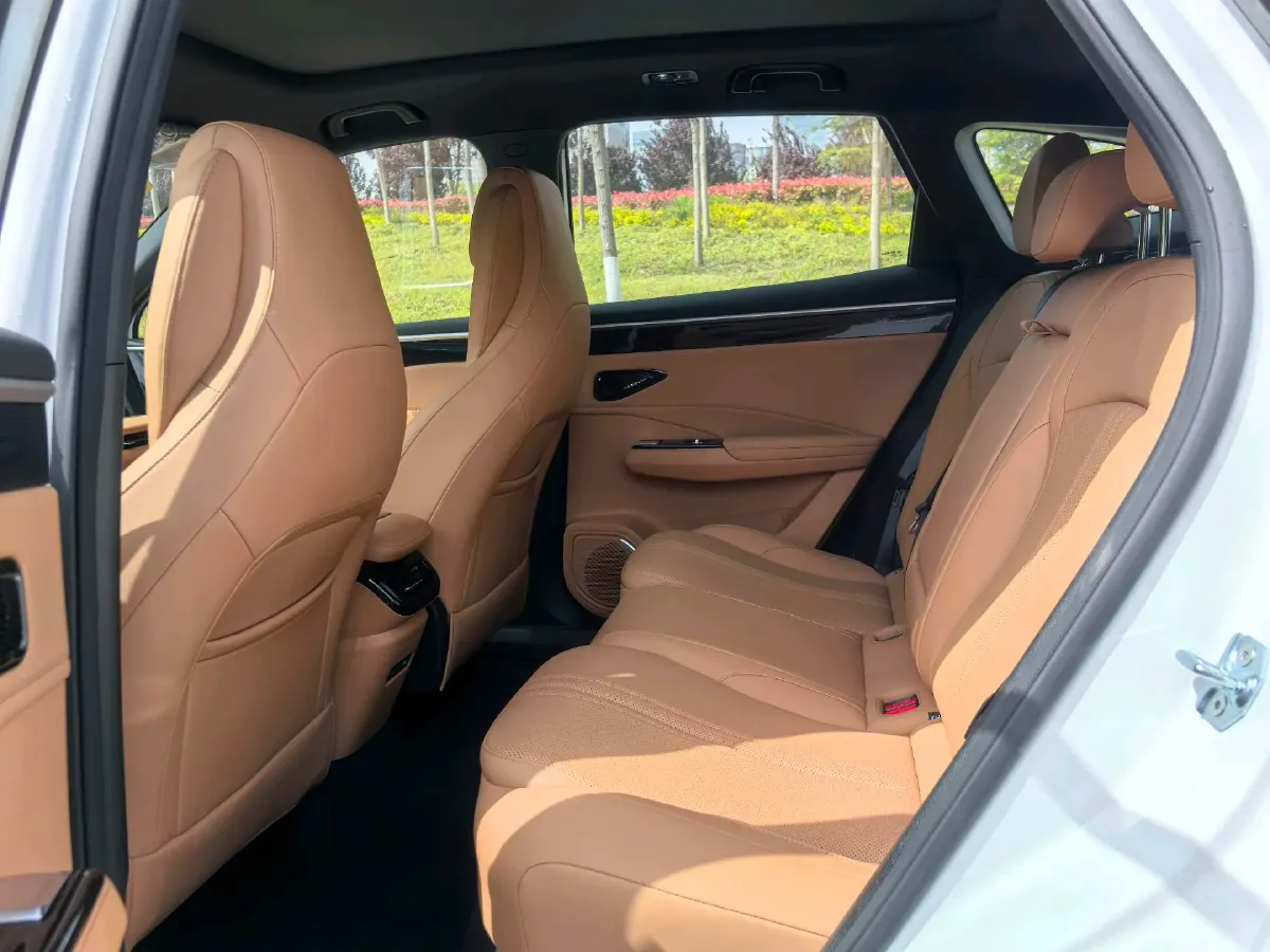 2025 BYD Sea Lion 05 DM-i 1.5L 101HP L4 E-CVT PHEV 18.3KWH,autocango,china used car exporter,china ev exporter,chinese used car exporter,chinese used ev exporter