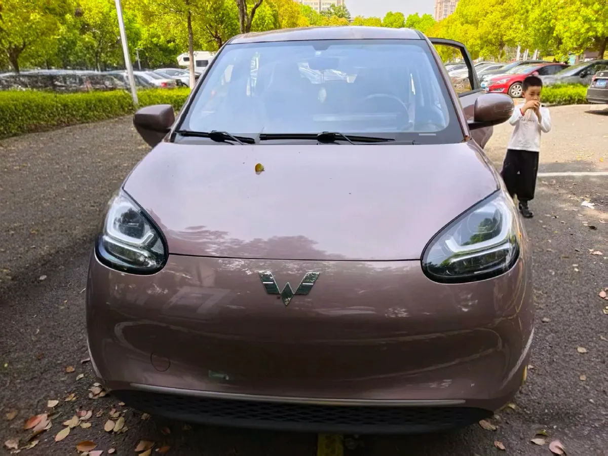 2023 WuLing BinGuo BEV 31.9KWH,autocango,china used car exporter,china ev exporter,chinese used car exporter,chinese used ev exporter