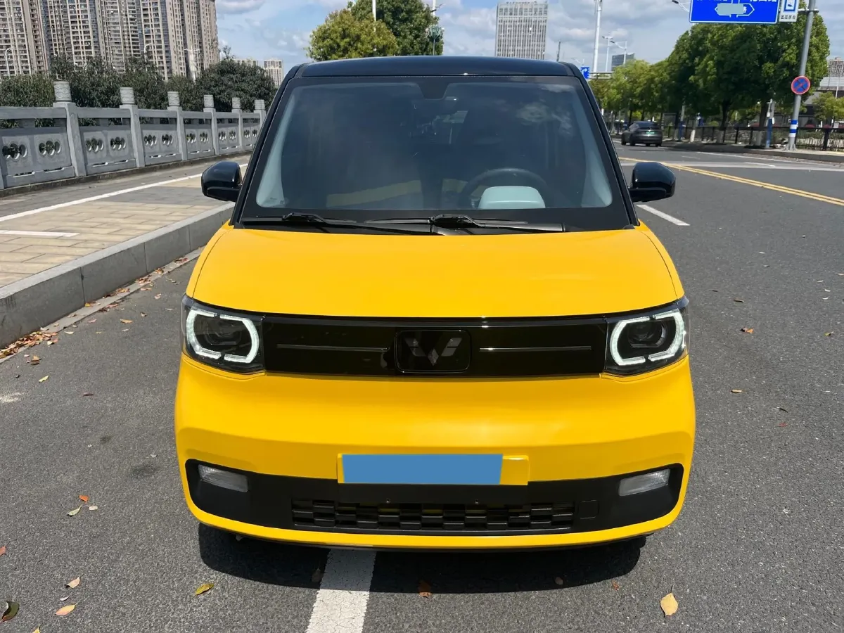 2021 WuLing HongGuang MINI EV BEV 13.9KWH,autocango,china used car exporter,china ev exporter,chinese used car exporter,chinese used ev exporter