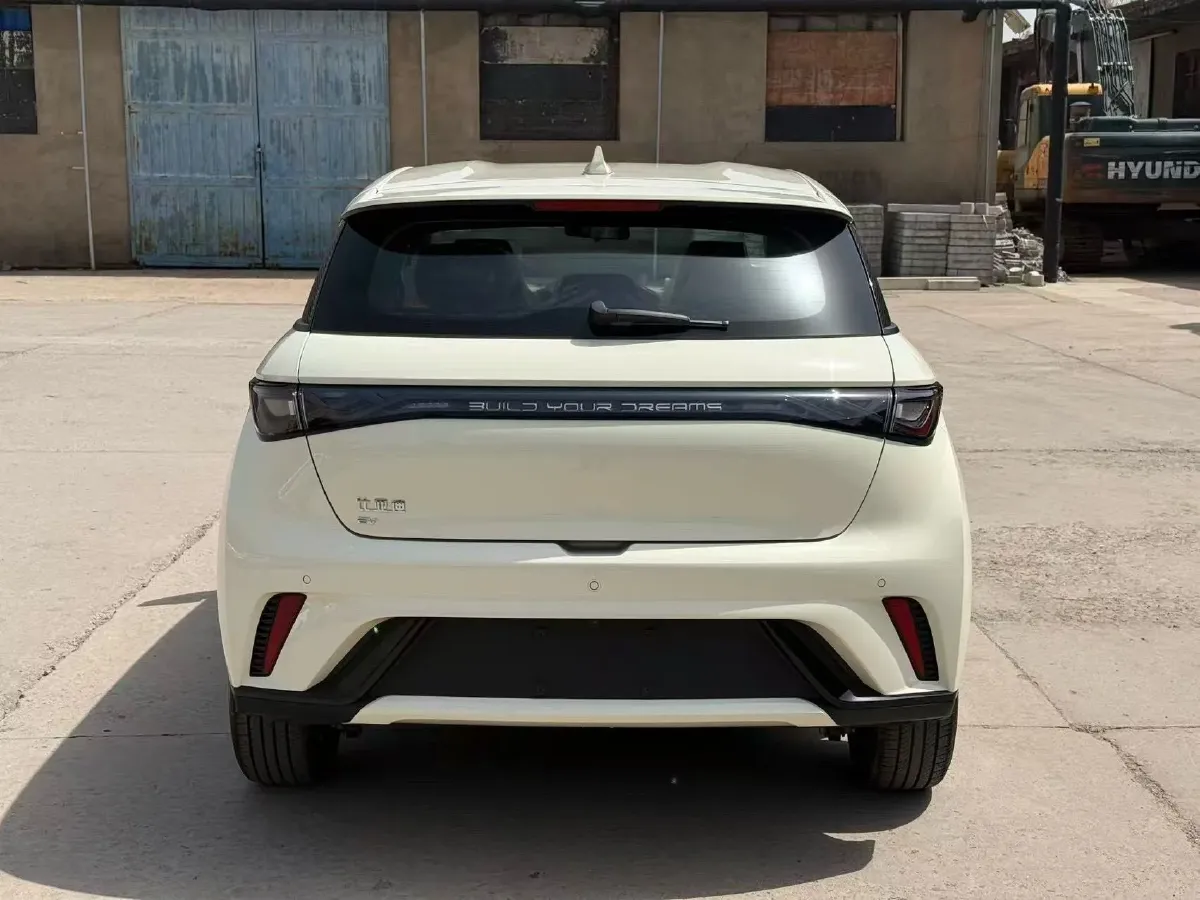 2025 BYD Dolphin BEV 44.928KWH,autocango,china used car exporter,china ev exporter,chinese used car exporter,chinese used ev exporter