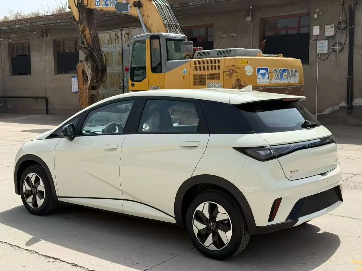 2025 BYD Dolphin BEV 44.928KWH,autocango,china used car exporter,china ev exporter,chinese used car exporter,chinese used ev exporter