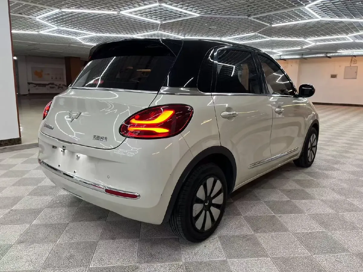 2023 WuLing BinGuo BEV 37.9KWH,autocango,china used car exporter,china ev exporter,chinese used car exporter,chinese used ev exporter