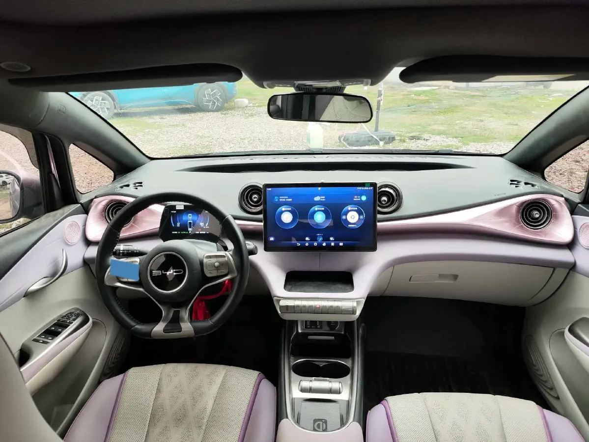 2023 BYD Dolphin BEV 44.928KWH,autocango,china used car exporter,china ev exporter,chinese used car exporter,chinese used ev exporter