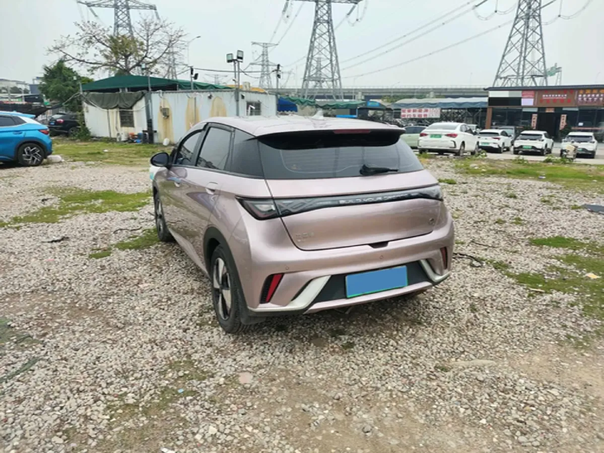 2023 BYD Dolphin BEV 44.928KWH,autocango,china used car exporter,china ev exporter,chinese used car exporter,chinese used ev exporter