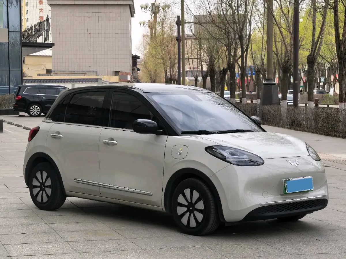 2023 WuLing BinGuo BEV 31.9KWH,autocango,china used car exporter,china ev exporter,chinese used car exporter,chinese used ev exporter