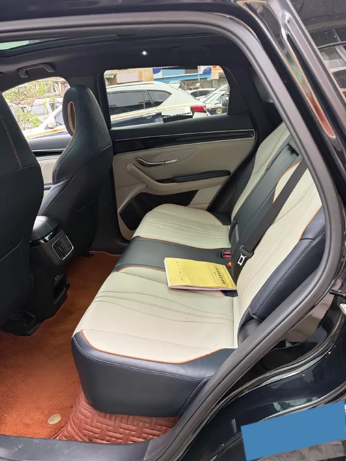 2021 BYD Qin BEV 53.56KWH,autocango,china used car exporter,china ev exporter,chinese used car exporter,chinese used ev exporter