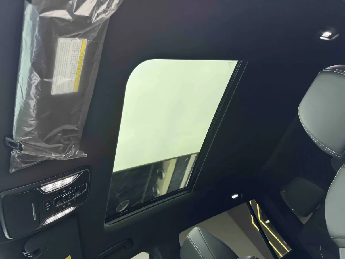 2025 GAC Trumpchi GS8 2.0T 252HP L4 8AT,autocango,china used car exporter,china ev exporter,chinese used car exporter,chinese used ev exporter