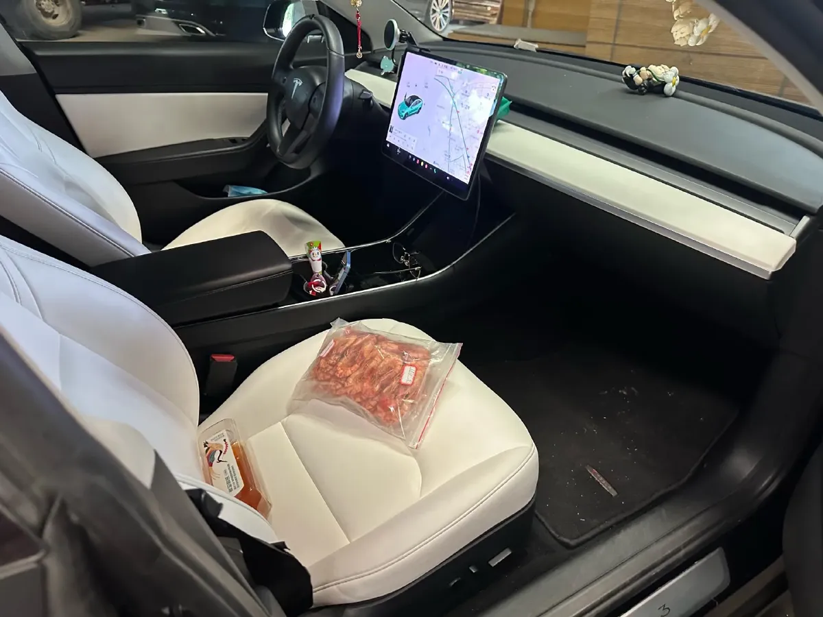 2020 Tesla Model 3 BEV 52KWH,autocango,china used car exporter,china ev exporter,chinese used car exporter,chinese used ev exporter