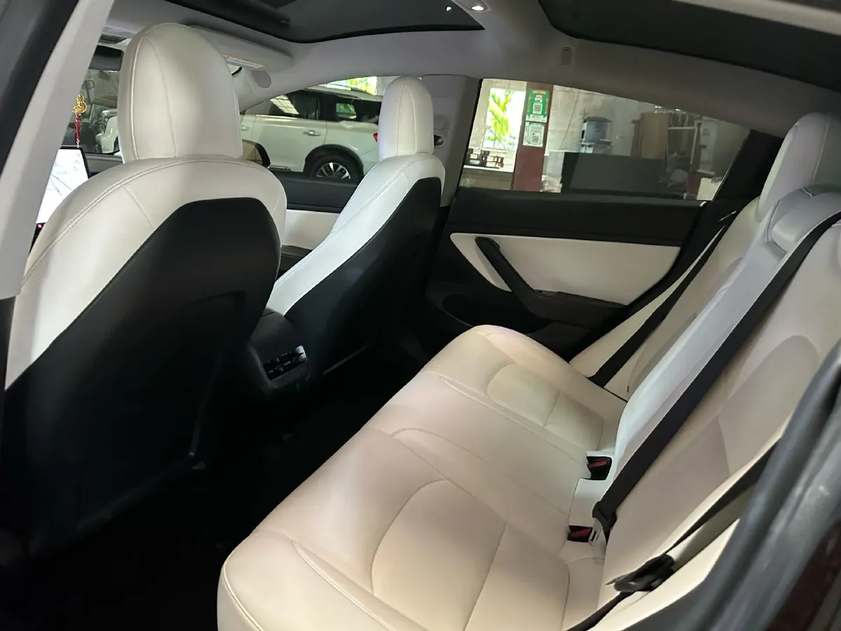 2020 Tesla Model 3 BEV 52KWH,autocango,china used car exporter,china ev exporter,chinese used car exporter,chinese used ev exporter
