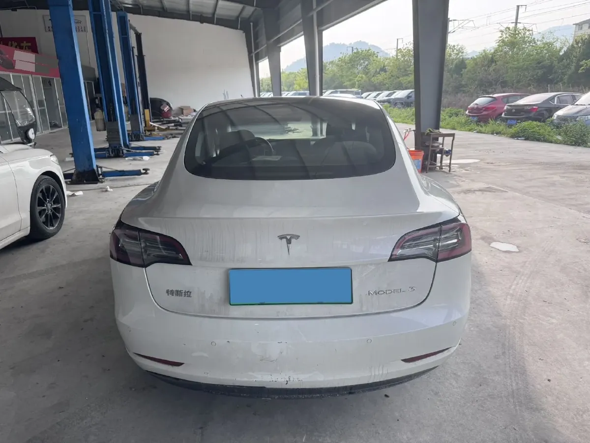 2021 Tesla Model 3 BEV 55KWH,autocango,china used car exporter,china ev exporter,chinese used car exporter,chinese used ev exporter