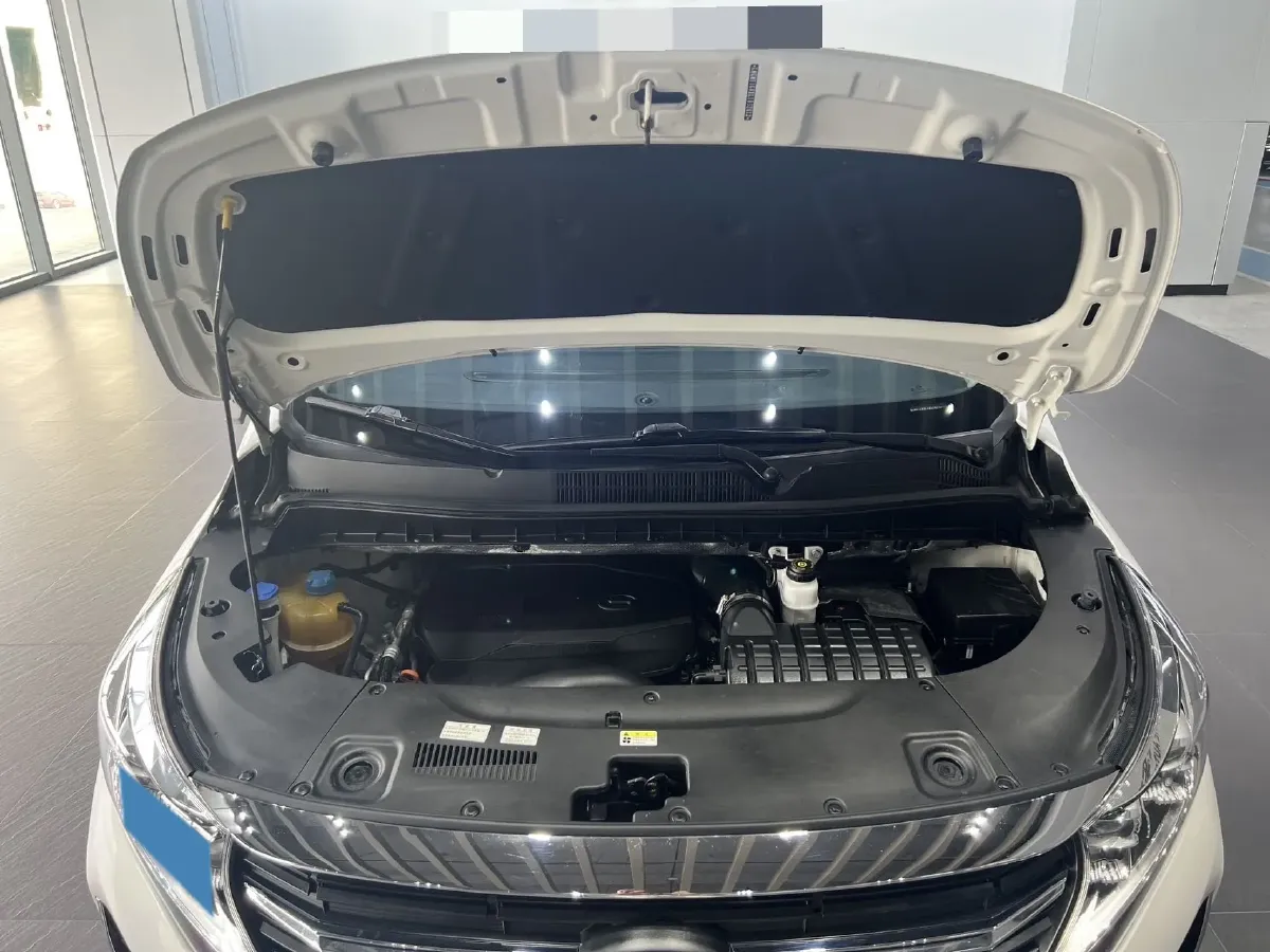 2021 GAC Trumpchi M8 2.0T 252HP L4 8AT,autocango,china used car exporter,china ev exporter,chinese used car exporter,chinese used ev exporter