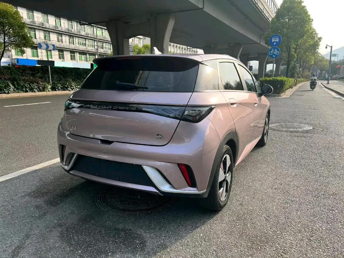 2023 BYD Dolphin BEV 44.928KWH,autocango,china used car exporter,china ev exporter,chinese used car exporter,chinese used ev exporter