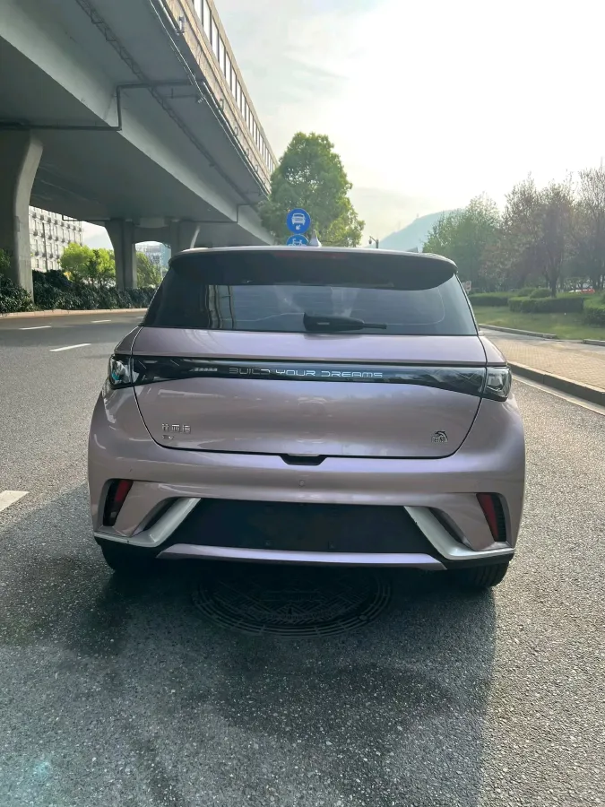 2023 BYD Dolphin BEV 44.928KWH,autocango,china used car exporter,china ev exporter,chinese used car exporter,chinese used ev exporter