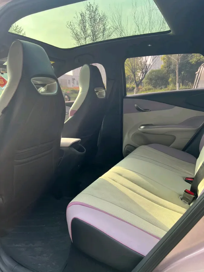 2023 BYD Dolphin BEV 44.928KWH,autocango,china used car exporter,china ev exporter,chinese used car exporter,chinese used ev exporter