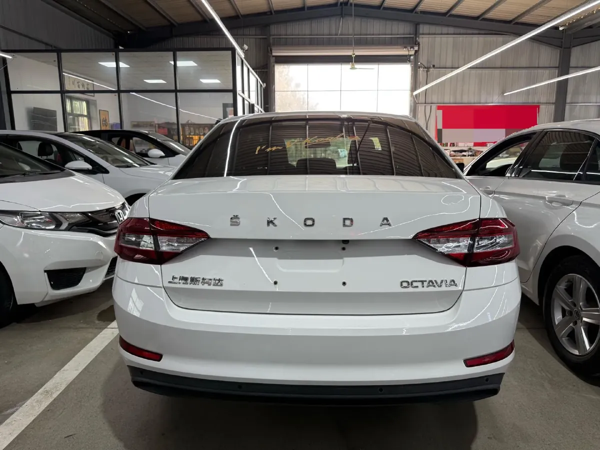 2019 Skoda Octavia 1.5L 116HP L4 6AT,autocango,china used car exporter,china ev exporter,chinese used car exporter,chinese used ev exporter