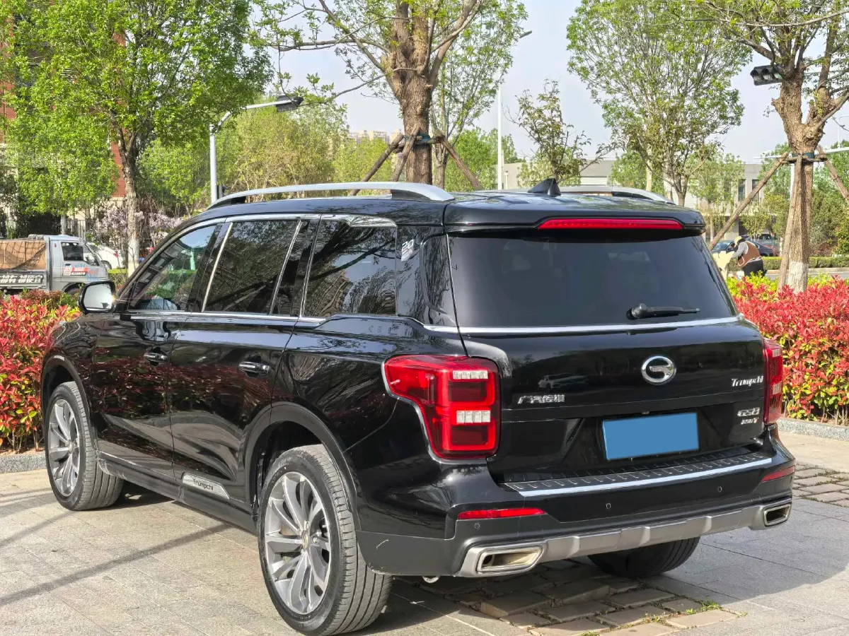 2021 GAC Trumpchi GS8 2.0T 252HP L4 6AT,autocango,china used car exporter,china ev exporter,chinese used car exporter,chinese used ev exporter