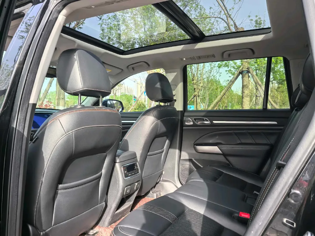 2021 GAC Trumpchi GS8 2.0T 252HP L4 6AT,autocango,china used car exporter,china ev exporter,chinese used car exporter,chinese used ev exporter