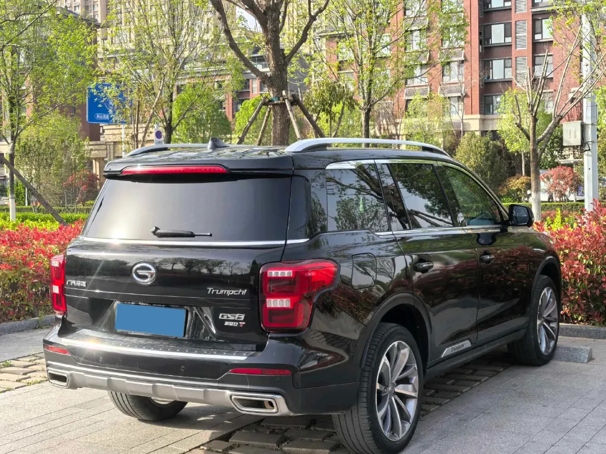 2021 GAC Trumpchi GS8 2.0T 252HP L4 6AT,autocango,china used car exporter,china ev exporter,chinese used car exporter,chinese used ev exporter