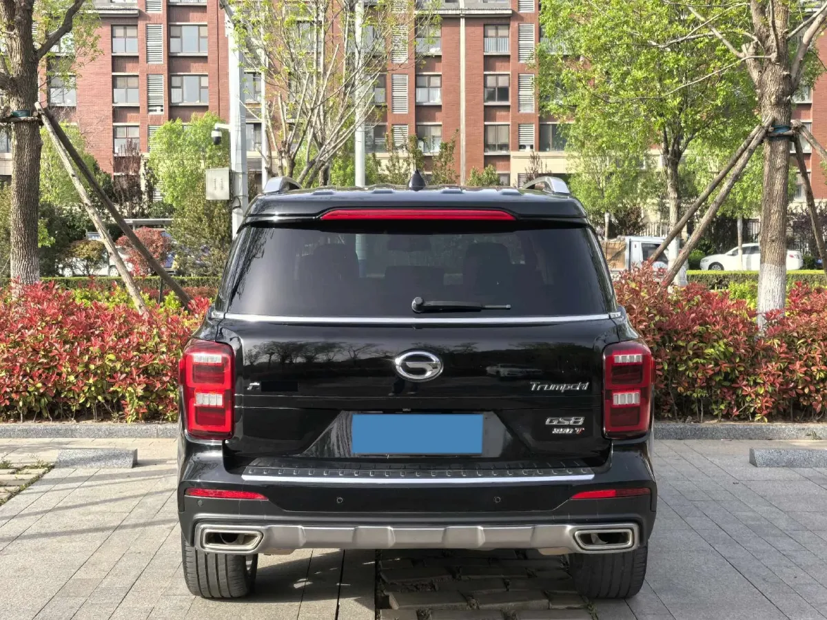 2021 GAC Trumpchi GS8 2.0T 252HP L4 6AT,autocango,china used car exporter,china ev exporter,chinese used car exporter,chinese used ev exporter