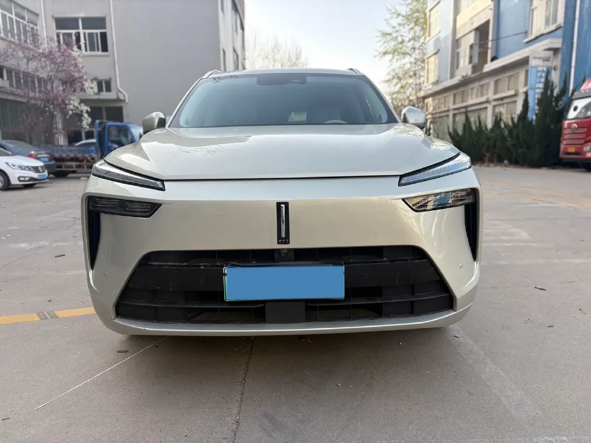 2023 WEY BlueMountain 1.5T 154HP L4 2DHT PHEV 44.5KWH,autocango,china used car exporter,china ev exporter,chinese used car exporter,chinese used ev exporter