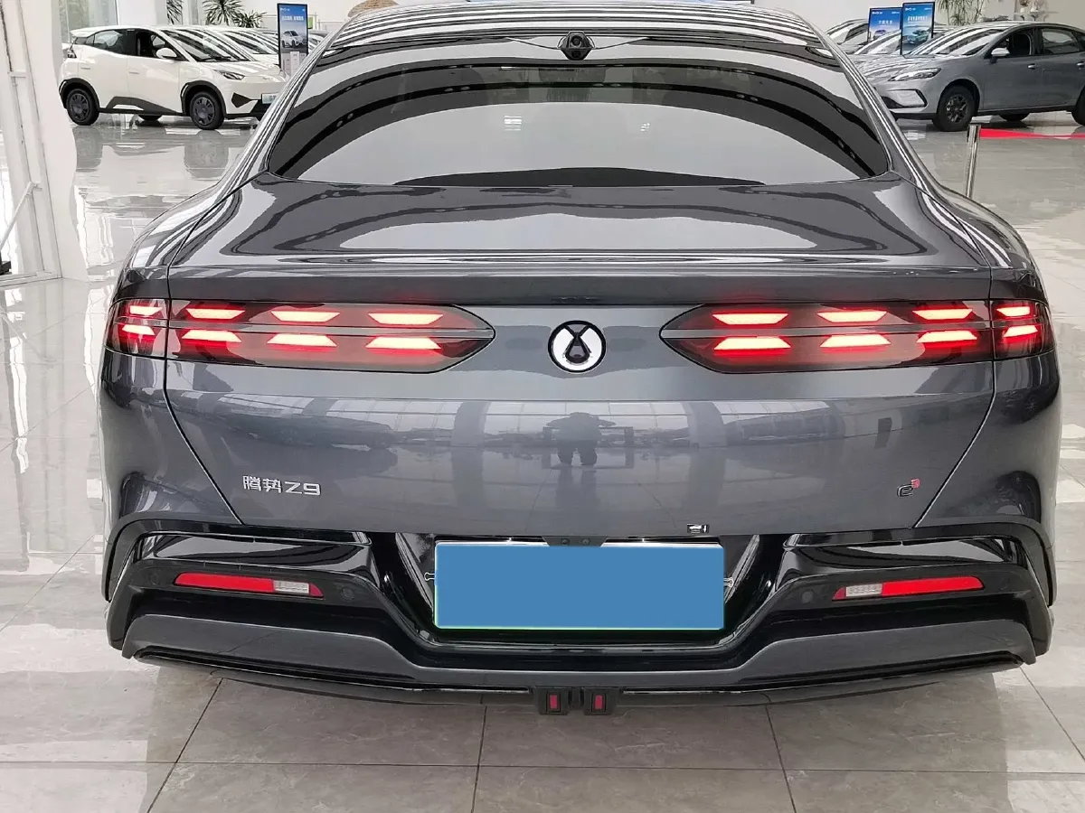 2024 Denza DenzaZ9 2.0T 207HP L4 E-CVT PHEV 38.5KWH,autocango,china used car exporter,china ev exporter,chinese used car exporter,chinese used ev exporter