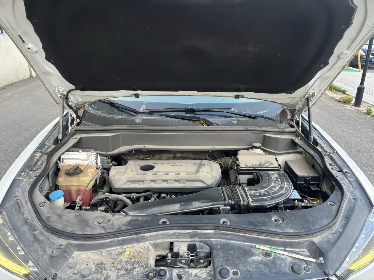 2021 Haval F7 2.0T 224HP L4 7DCT,autocango,china used car exporter,china ev exporter,chinese used car exporter,chinese used ev exporter