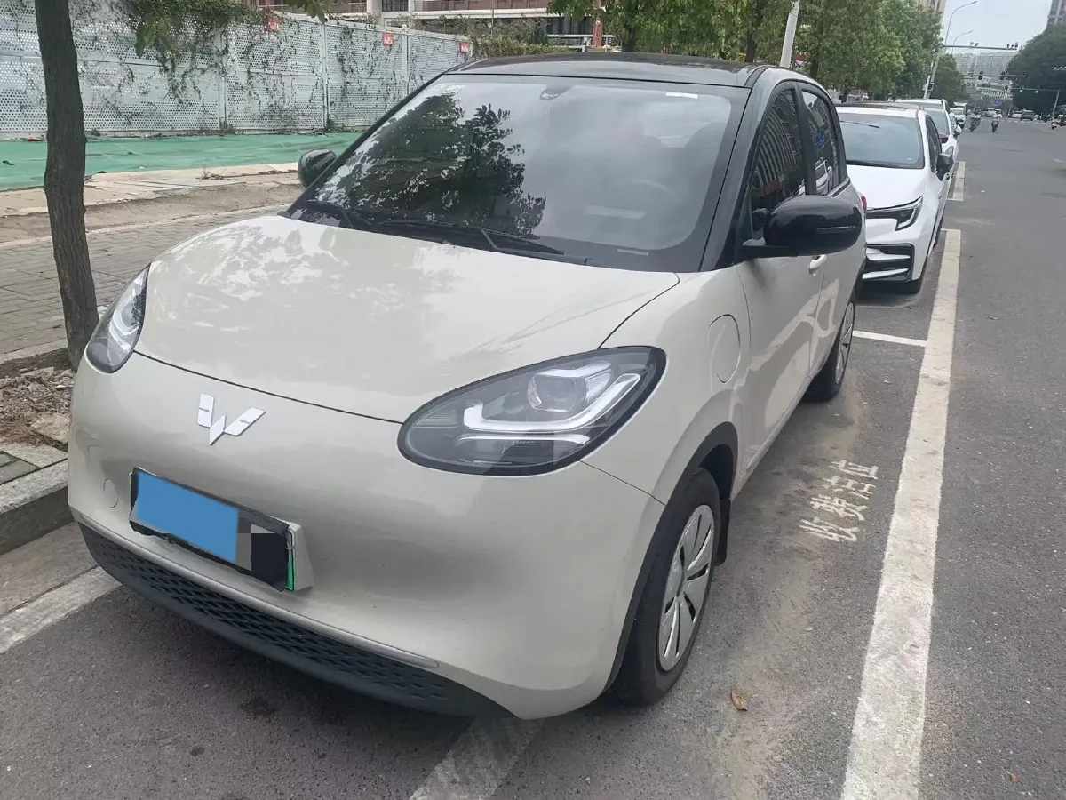2024 WuLing BinGuo BEV 17.3KWH,autocango,china used car exporter,china ev exporter,chinese used car exporter,chinese used ev exporter