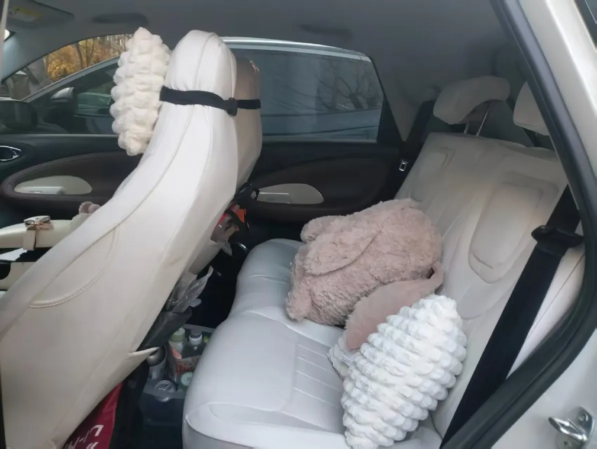 2023 WuLing BinGuo BEV 37.9KWH,autocango,china used car exporter,china ev exporter,chinese used car exporter,chinese used ev exporter