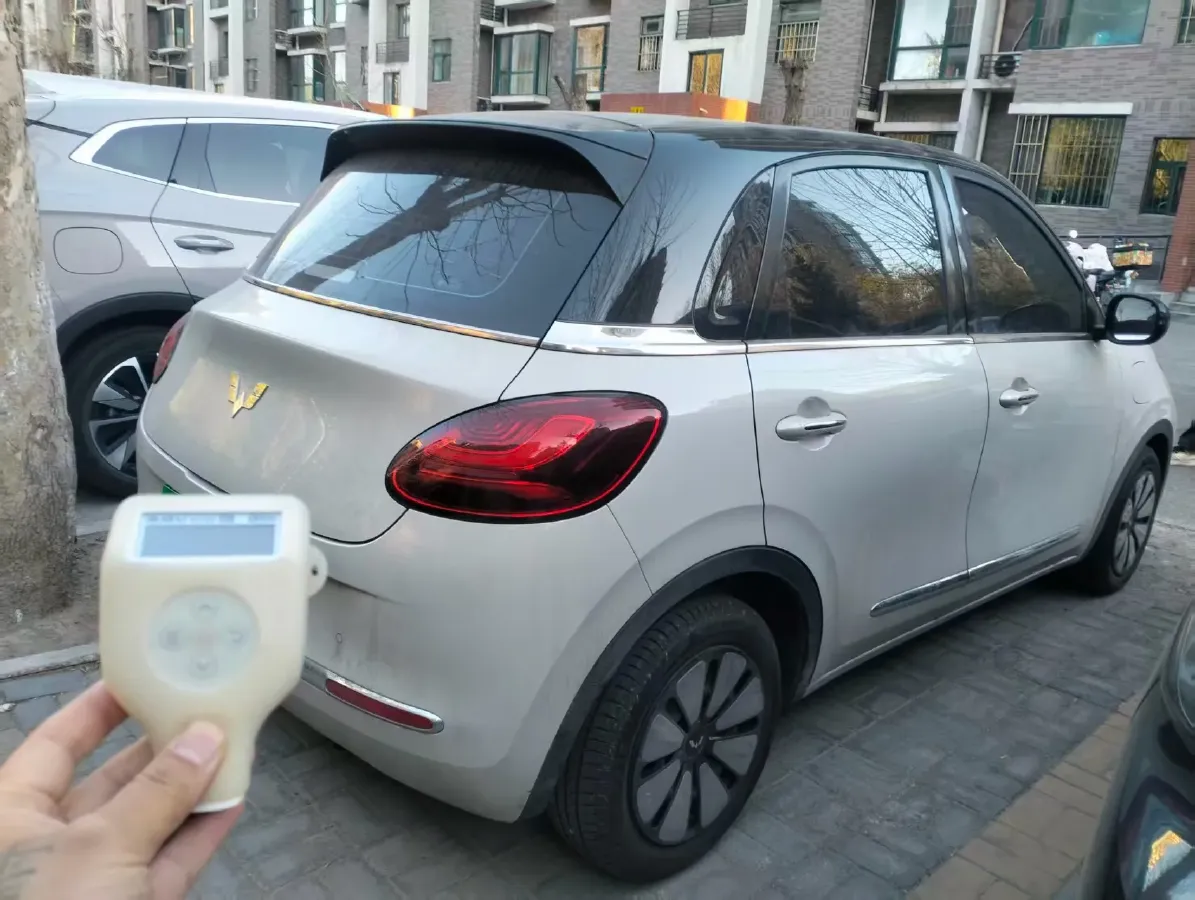 2023 WuLing BinGuo BEV 37.9KWH,autocango,china used car exporter,china ev exporter,chinese used car exporter,chinese used ev exporter