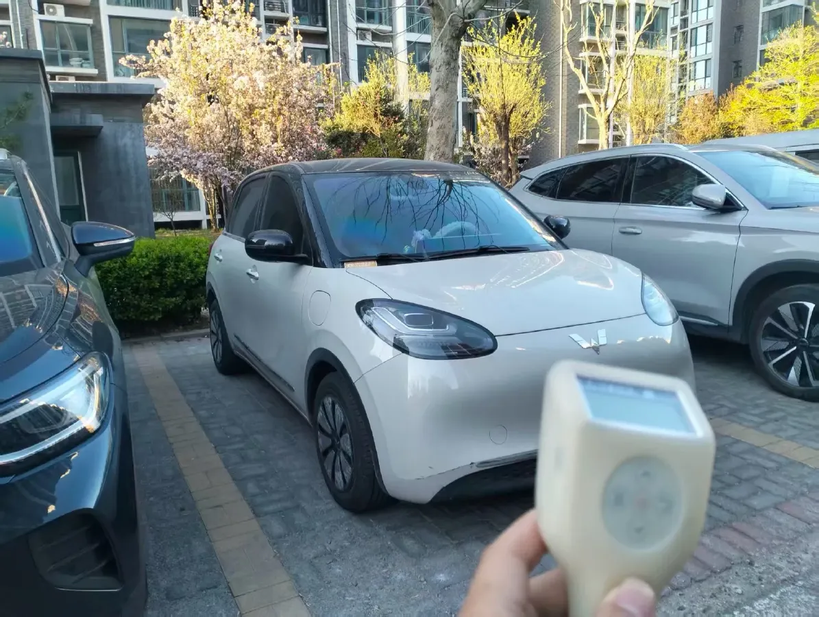 2023 WuLing BinGuo BEV 37.9KWH,autocango,china used car exporter,china ev exporter,chinese used car exporter,chinese used ev exporter