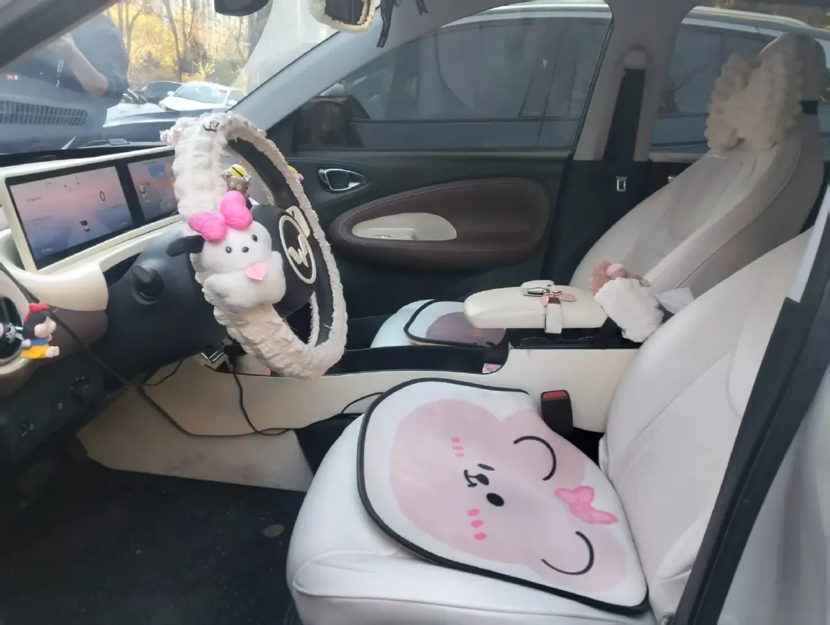 2023 WuLing BinGuo BEV 37.9KWH,autocango,china used car exporter,china ev exporter,chinese used car exporter,chinese used ev exporter