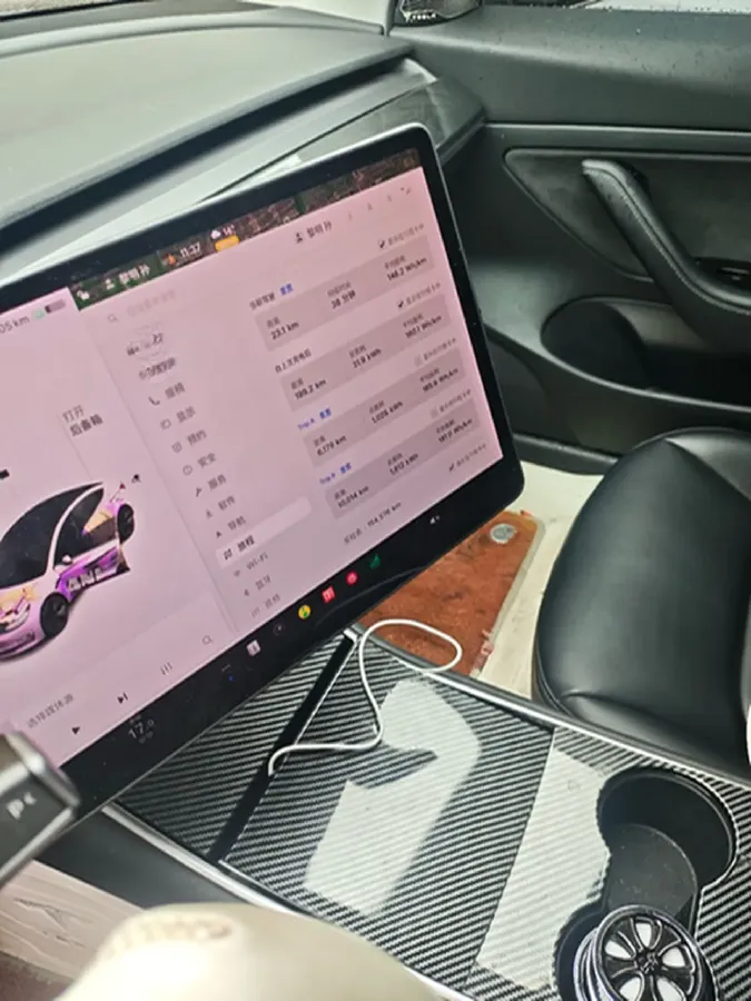 2020 Tesla Model 3 BEV 52KWH,autocango,china used car exporter,china ev exporter,chinese used car exporter,chinese used ev exporter