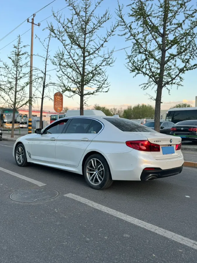 2020 BMW 5 Series 2.0T 184HP L4 8AT,autocango,china used car exporter,china ev exporter,chinese used car exporter,chinese used ev exporter