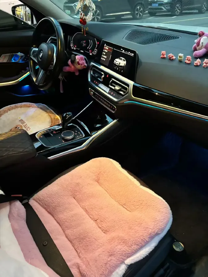 2020 BMW 3 Series 2.0T 156HP L4 8AT,autocango,china used car exporter,china ev exporter,chinese used car exporter,chinese used ev exporter