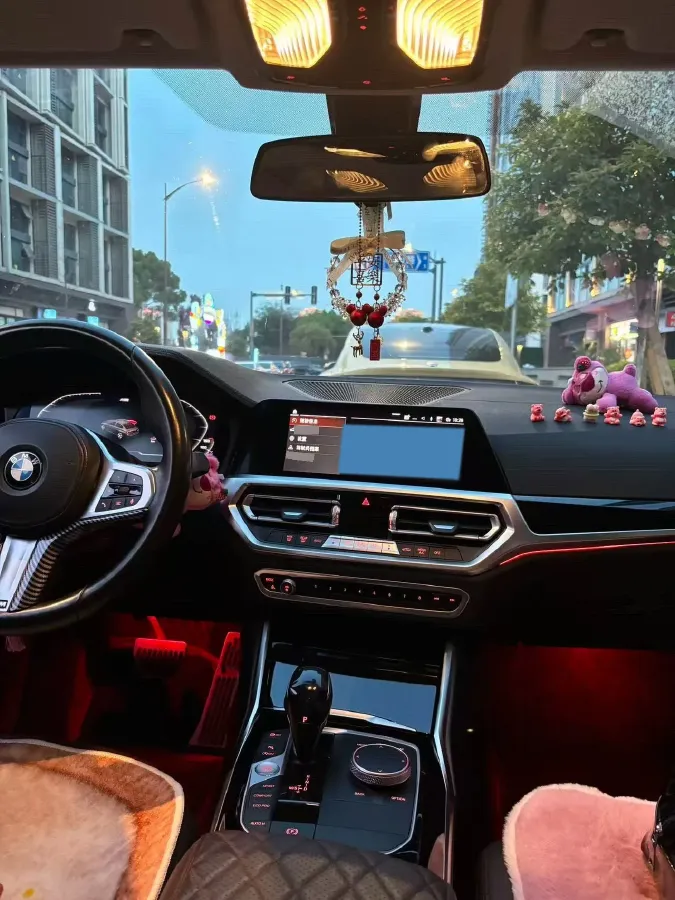 2020 BMW 3 Series 2.0T 156HP L4 8AT,autocango,china used car exporter,china ev exporter,chinese used car exporter,chinese used ev exporter