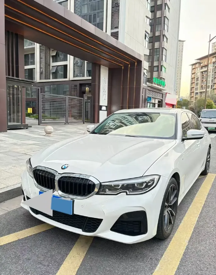2020 BMW 3 Series 2.0T 156HP L4 8AT,autocango,china used car exporter,china ev exporter,chinese used car exporter,chinese used ev exporter