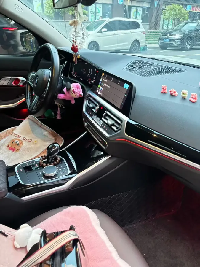 2020 BMW 3 Series 2.0T 156HP L4 8AT,autocango,china used car exporter,china ev exporter,chinese used car exporter,chinese used ev exporter