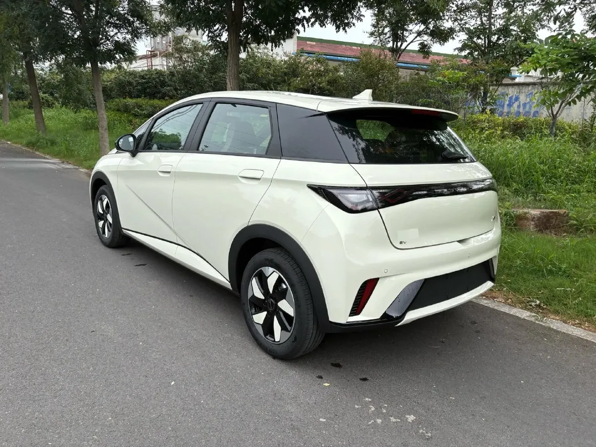 2025 BYD Dolphin BEV 44.928KWH,autocango,china used car exporter,china ev exporter,chinese used car exporter,chinese used ev exporter