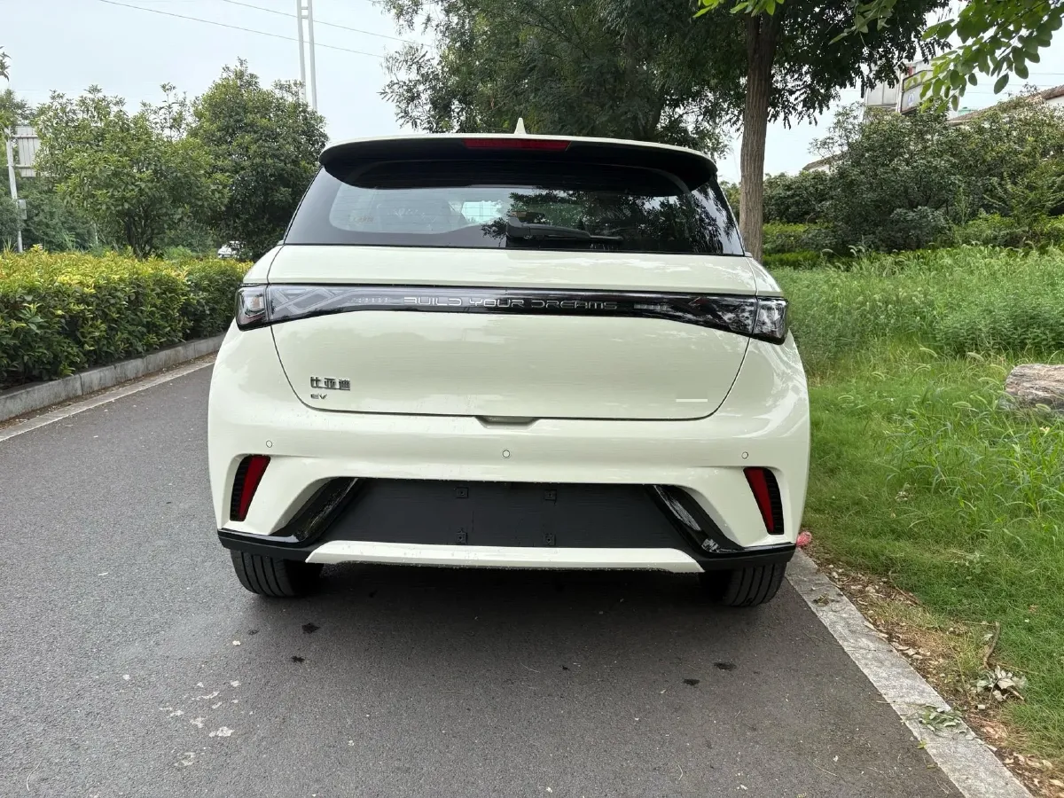 2025 BYD Dolphin BEV 44.928KWH,autocango,china used car exporter,china ev exporter,chinese used car exporter,chinese used ev exporter