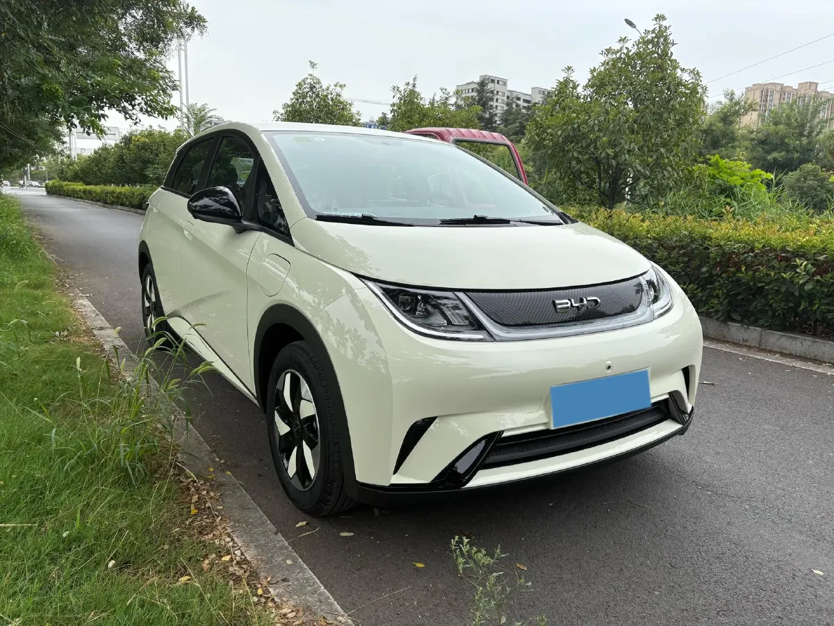 2025 BYD Dolphin BEV 44.928KWH,autocango,china used car exporter,china ev exporter,chinese used car exporter,chinese used ev exporter