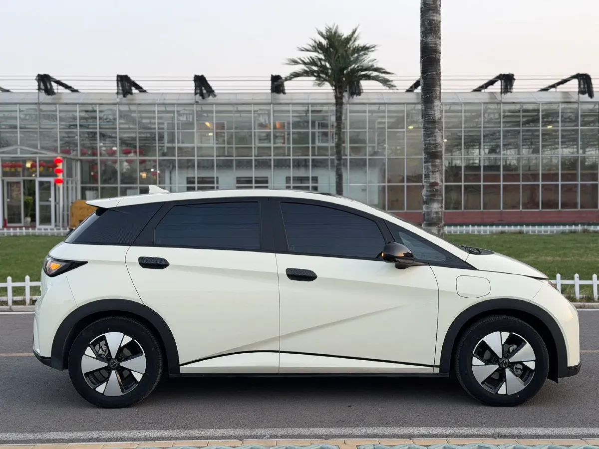 2023 BYD Dolphin BEV 44.928KWH,autocango,china used car exporter,china ev exporter,chinese used car exporter,chinese used ev exporter