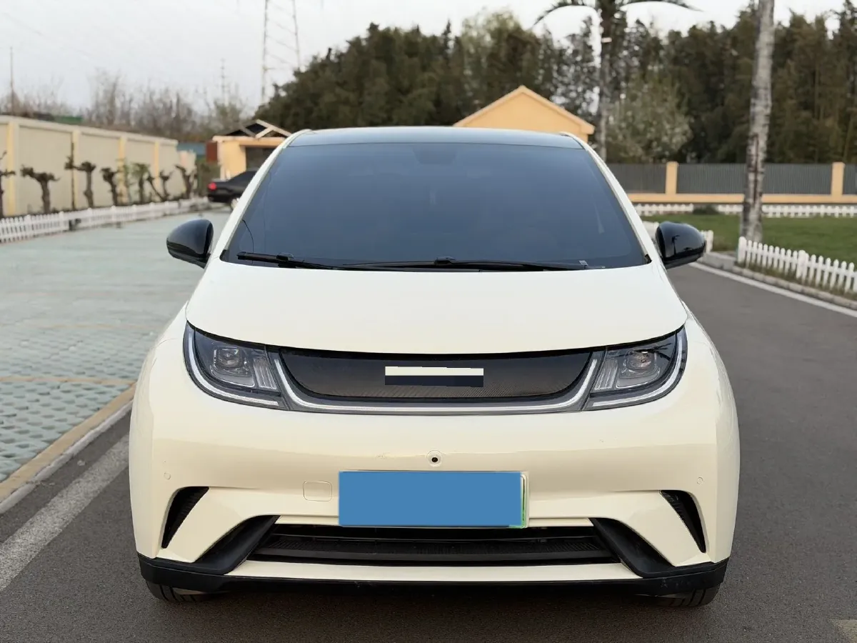 2023 BYD Dolphin BEV 44.928KWH,autocango,china used car exporter,china ev exporter,chinese used car exporter,chinese used ev exporter