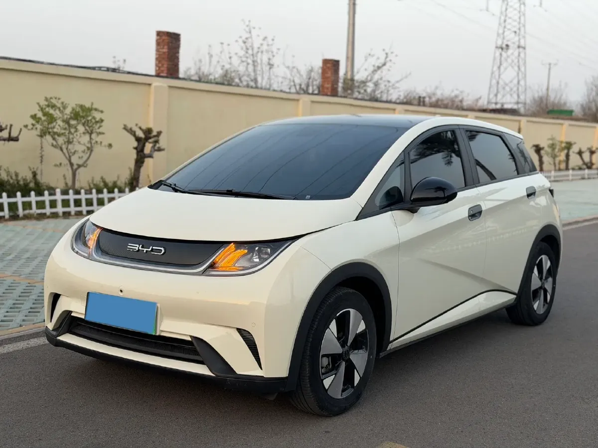 2023 BYD Dolphin BEV 44.928KWH,autocango,china used car exporter,china ev exporter,chinese used car exporter,chinese used ev exporter