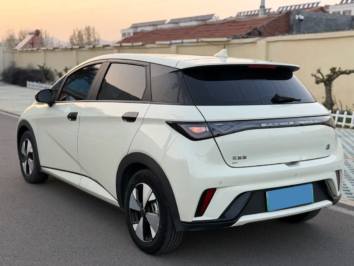 2023 BYD Dolphin BEV 44.928KWH,autocango,china used car exporter,china ev exporter,chinese used car exporter,chinese used ev exporter