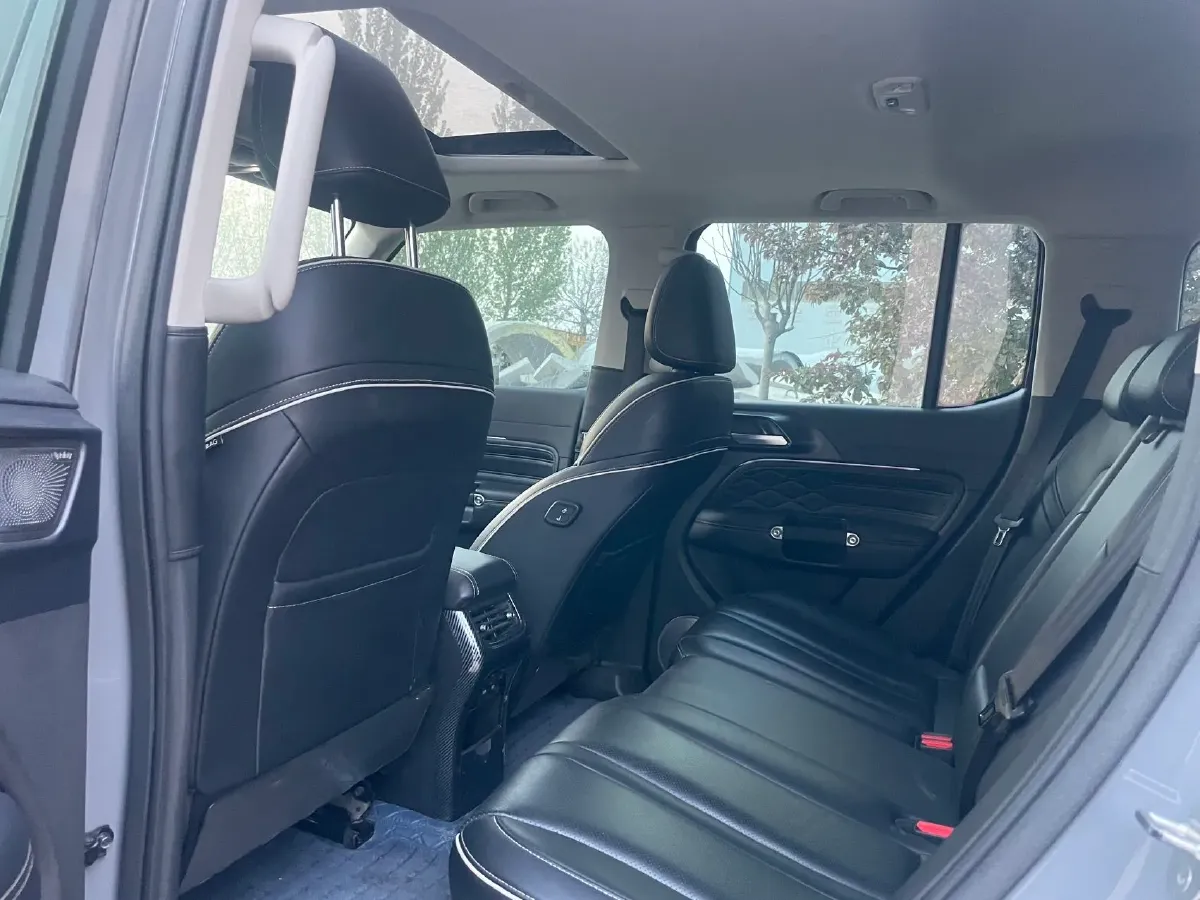 2021 Tank 300 2.0T 227HP L4 8AT,autocango,china used car exporter,china ev exporter,chinese used car exporter,chinese used ev exporter