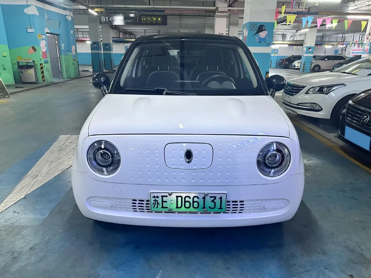 2021 Ora BlackCat BEV 28.5KWH,autocango,china used car exporter,china ev exporter,chinese used car exporter,chinese used ev exporter